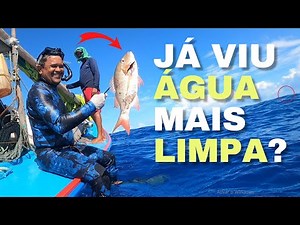 Pesca Sub: MUITO PEIXE E A ÁGUA MAIS LIMPA QUE EU JÁ VI!!! Pescaria em alto mar. Dia incrível!!