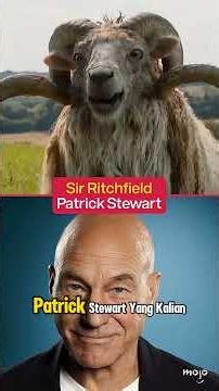 Review Film The Sheep Detectives