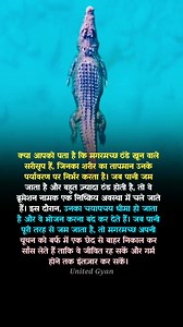 👉 रहस्मयी जानकारी के लिए फॉलो करें 👇 . . . Image/video owner full credit and respect 🙏 No copyright infringement intended. Email/DM us to fix/remove. We need this picture/video for education purpose 🙏. . . . #education #knowledge #generalknowledge #gk #space #spacefacts #sun #earth #moon #isro #nasa | यूनाइटेड ज्ञान
