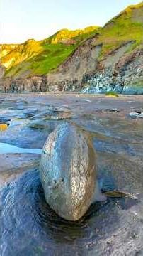 What will be inside? We searched a remote beach for fossils and crystal