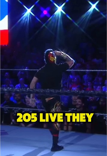 WWE's Unique Use of the Same Theme for Lince Dorado