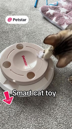 #petstar @Petstar Petstar Whack-a-mole 8 Hole Smart Interactive Cat Toy for Indoor Cats, Automatic Start/Stop Programme, Scratch Resistant ABS Material, Smooth Surface Claw Protective Design, Low Noise, Automatic Cat Toy Surprises Cats Randomly, Cats Obsessed #cattoy #catsoftiktok #catsmart😻 #catgame
