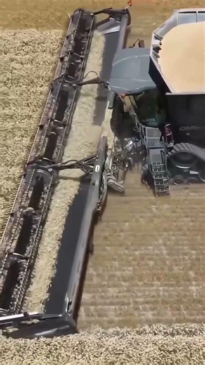 Threshing Machine for Crop Cutting | #shorts #agriculture #threshingmachine #machine
