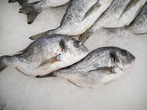 Is Frozen Fish Safe to Eat After 2 Years? - Foods Questions