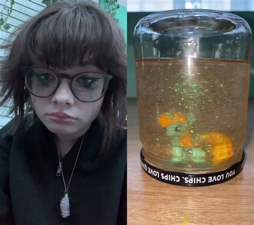 The Rainbow Dash Jar Incident Explained | My Little Pony TikTok Trend