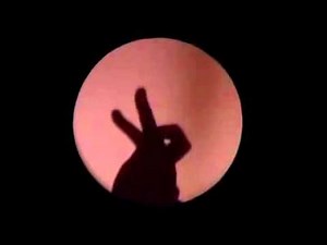 Raymond Crowe - What A Wonderful World [Hand Shadows]