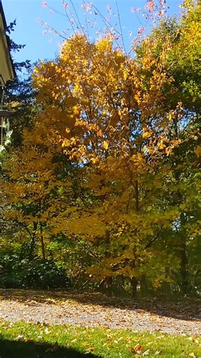 leeahh🇨🇦 (@exploringthecape)’s videos with One more light - 🥷