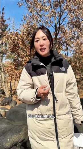 Revolutionizing Pork: The Secret of Black Pig Farming