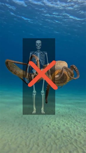 Is Octopus Is An Ailen #viralvideo #facts #shorts #viral