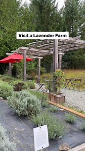 311K views · 2.1K reactions | Consider this as a launching point for...