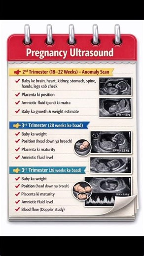 Pregnancy me USG me kya kya dikhta hai? | 1st, 2nd, 3rd Trimester Complete Guide