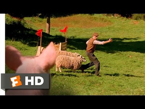 Babe (5/9) Movie CLIP - Little Ideas (1995) HD