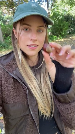 Identifying Toxic Buckeyes vs Edible Chestnuts