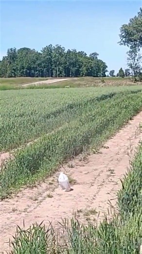 44 Vs Jug #outdoors #outdoor #sportsshooting #gettingout #range