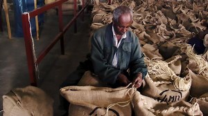 We love coffee, we love our customers, and we want our customers to love our coffee too. | Angelino's Coffee