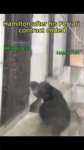 Hamilton after his contract ends #f1