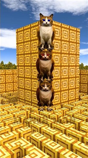 meowl turn tag #garrysmod #meowl #turn