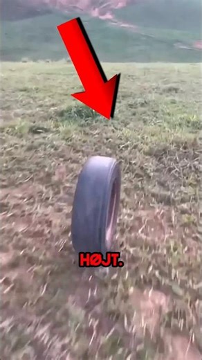 🤯 VILDESTE Verdensrekord Nogensinde! 🏆