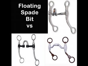 Floating Spade Bits, Correction Bits, Ported Billy Allen aka Comfort Mouth shanked bit