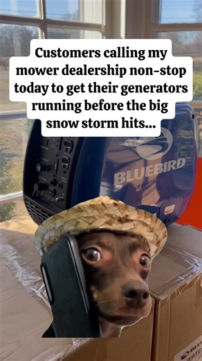 Top Lawn Care Memes That Will Make You Laugh