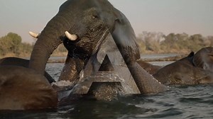 23K views · 118 reactions | A season of shows awaits that showcase the true beauty of Africa and its inhabitants. Celebrate the amazing continent this May on Wild Africa. | National Geographic Africa | Facebook
