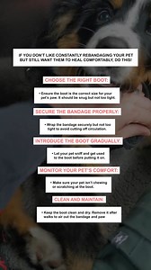 Bandaging your pet shouldn’t feel like an episode of a reality show!...