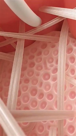 How Wounds Heal: The Science of Sutures! 🩹🔬#WoundHealing#MedicalScience#Sutures#Biology#Shorts#Healt