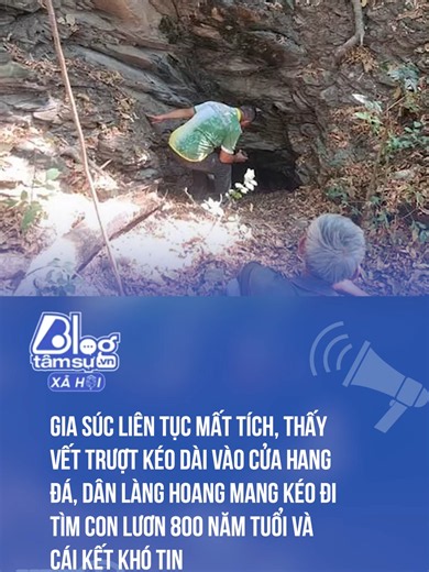 Thấy gia súc mất tích là có điềm rồi#btsmedia #socialnews #social #tintuc #news #tinhot #tintuc24h #tinnong #tiktokviral #docla #xuhuong #chuyenla