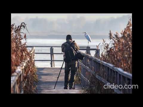 Evangelho do profeta Daniel capitulo 8 Explicado 😂😍😎❤️👉💸🎮😍O Sentido da Vida