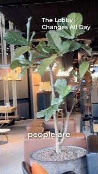Amsterdam Hotel Lobby | Moxy Amsterdam Schiphol Airport