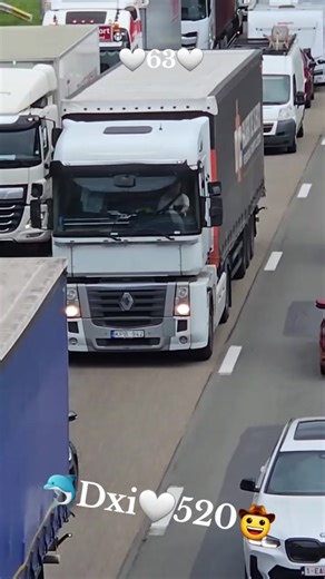 313...63.🐬.🤍.🐬.