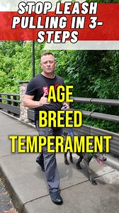 1.4M views · 15K reactions | Leash pulling was fixed in 15 minutes....