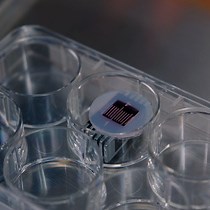 High-Throughput Cell Patterning Method | JoVE Journal