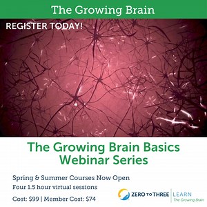Babies are born ready to learn, with brains uniquely wired to collect and process each experience faster than at any other point in their lifetimes. Our Growing Brain Basics Webinar Series helps early childhood professionals like you make the most of those early experiences. Register today for this four-part webinar series to reveal evidence-based strategies for creating quality interactions so you can become the brain builder you were born to be. | ZERO TO THREE