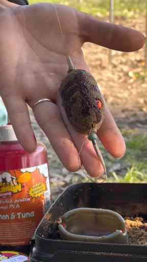 Feeder Fishing Setup That’s Hooking Views Worldwide