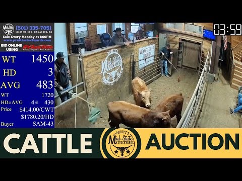 Pruitt’s Mid-State Cattle Auction LIVE | All Classes Selling | Damascus, AR
