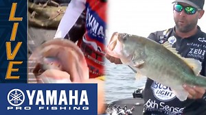 Brandon Palaniuk and Lee Livesay BASS Elite battled back and forth on BassTrakk with these two fish catches that happened simultaneously. The Yamaha Outboards Clip of the Day is the two-man race for the top spot in Texas. #Bassmaster #BASSElite #LakeFork #BassFishing | Bassmaster