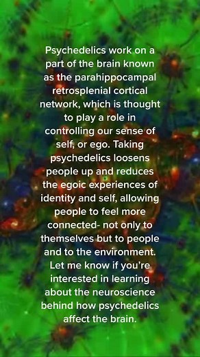 Brooke | Psychedelicthings on TikTok