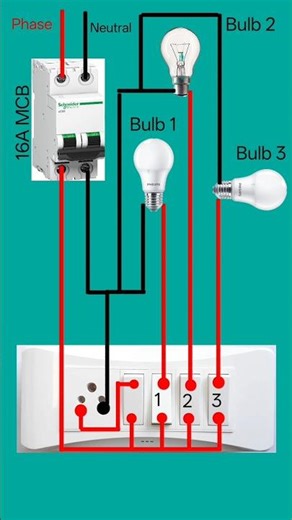 3 Bulb Wiring Connection with MCB and Switch BoardComplete House Wiring Diagram #shortsfeed #shorts