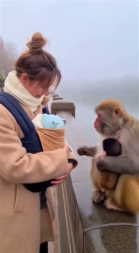 You Won’t Notice the Loop Until It Ends 🐒👶