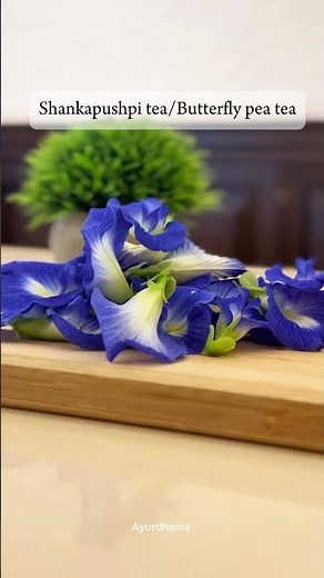Butterfly pea tea | Aparajitha tea | Shankapushpi tea | Brain tonic |