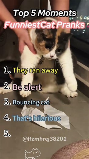Top 5 MomentsFunniestCat Pranks#shorts #funny #ranked