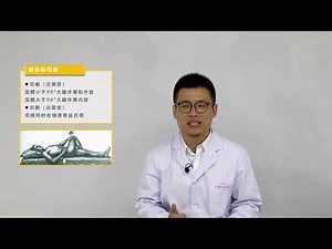 【ZY240103】孙大鹏MET 13 梨状肌综合征的MET手法