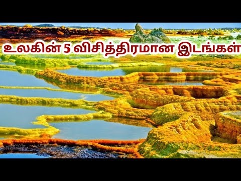 இந்த பூமியில் இருக்கும் விசித்திரமான 5 மர்ம இடங்கள்! | 5Strangest Mysterious Places In The World