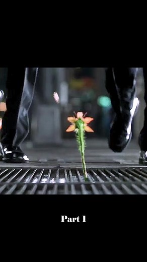 movie4683 (@movie4683)’s videos with original sound - movie4683