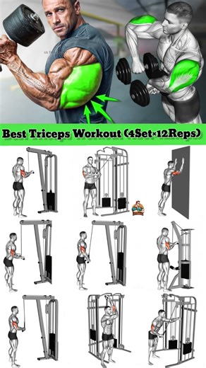 Day-30/most effective Triceps Exercise 🔥. #motivation #fitness #triceps #tricepday