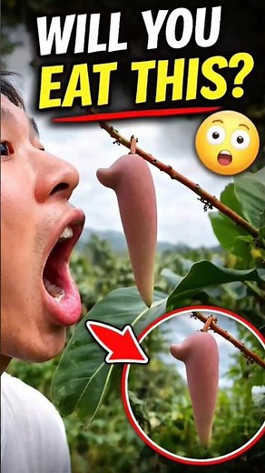 Most beautiful fruits ever | Relaxing Fruit Video #13 #satisfying #fruit #nature #farming #shorts