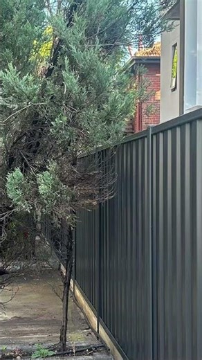 Colorbond fence #fence WhatsApp:+086 18263618095