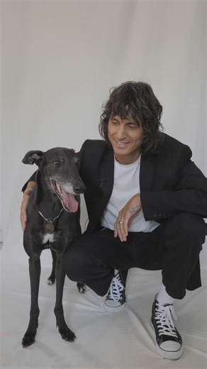 Dog Act on Instagram: "Announcing ‘The Big Grey Film’: A full length documentary about greyhounds and the greyhound racing industry, coming soon ❤️🐾 Check it out and support our greyt cause! #greyhound #thebiggreyfilm #documentary"