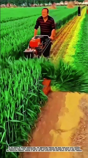 Crop Cutting Machine Makes Harvesting Neat and Fast #agriculturalinnovation #farmingtraditions